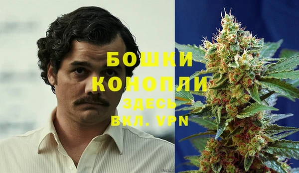 кокс Инта