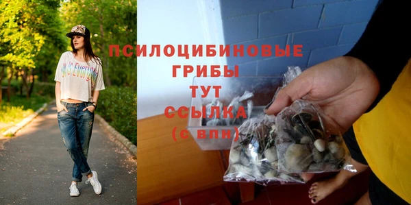 круглые Каменка