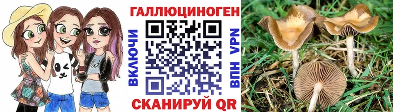 хочу   Кедровый  Галлюциногенные грибы мухоморы 