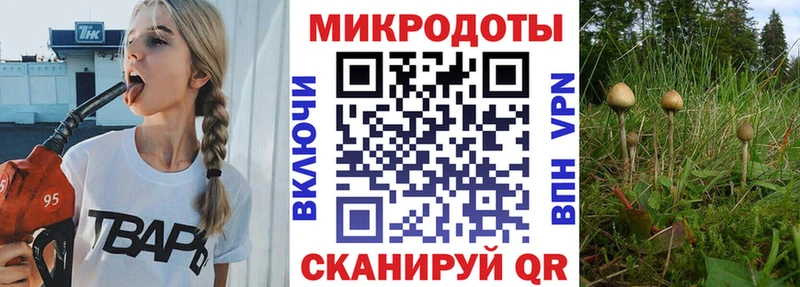 Галлюциногенные грибы GOLDEN TEACHER Кедровый